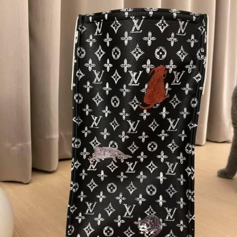 ❌SOLD❌ Louis Vuitton Catogram City Steamer XXL bag - Picture 9 of 16